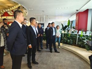 公司新闻